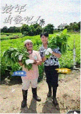 总裁的第七日 都市甜宠短剧封面